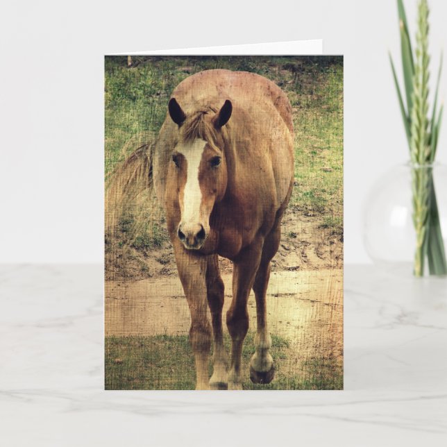 Cartão Dunnit (Frente)