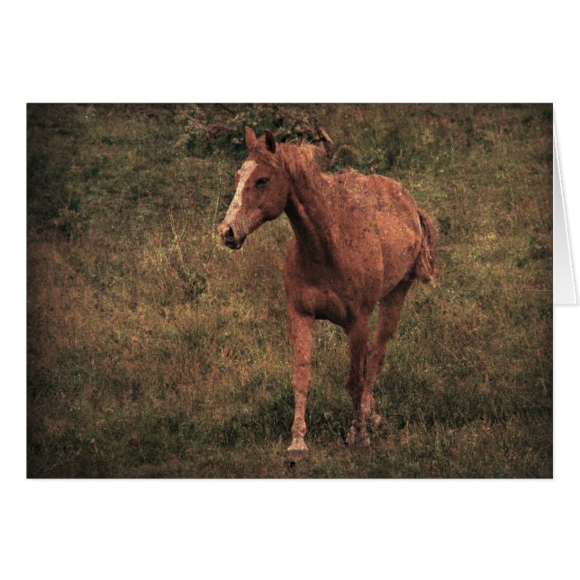 Cartão Dunnit (Frente Horizontal)