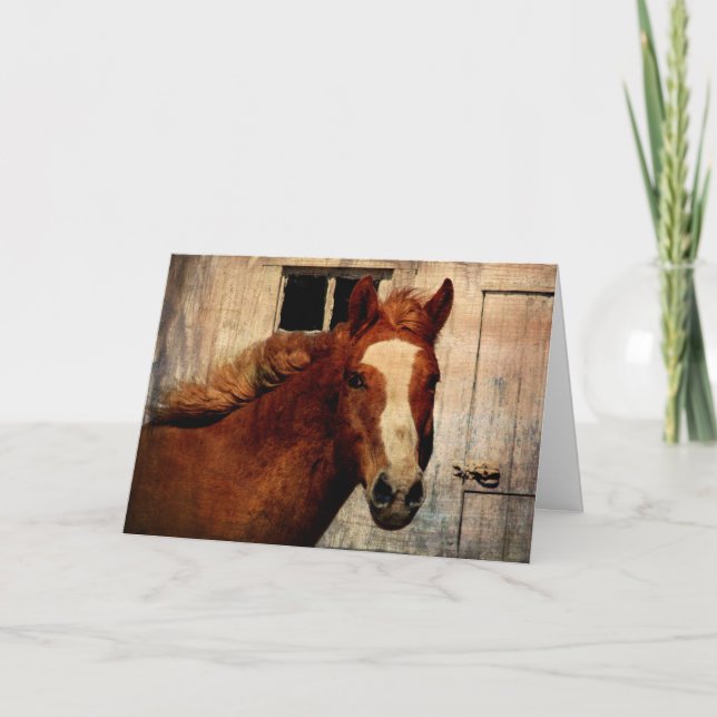 Cartão Dunnit, Aniversário (Frente)