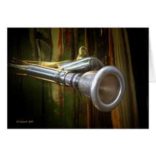 Cartão Duro do sopro