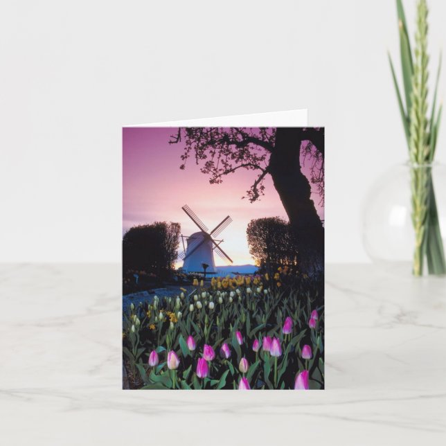 Cartão Dutch Windmill at Sunset in Holland Notecards (Frente)