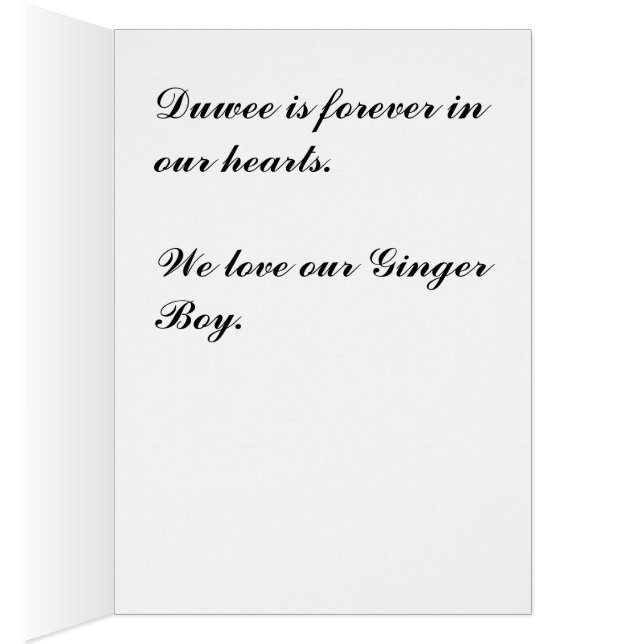 Cartão Duwee (Interior (direita))