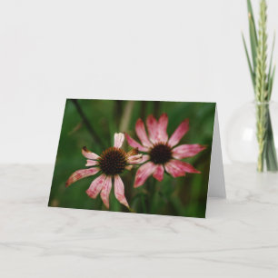 Cartão Dying Flowers Greeting Card
