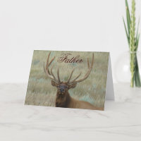 E10 Alce Macho em Antler Fotografia da Cabeça