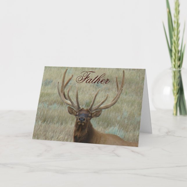 Cartão E10 Alce Macho em Antler Fotografia da Cabeça (Frente)