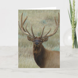Cartão E10t Touro Elk em Velvet Head Shot
