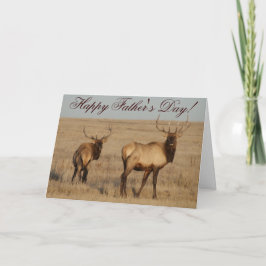 Cartão E1 Touro Elk