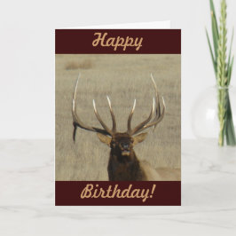 Cartão E29 Cabeça de Touro