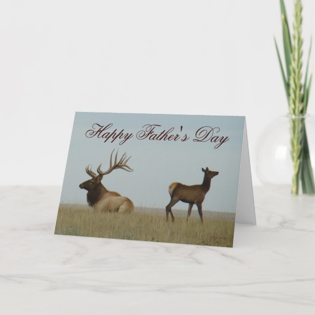 Cartão E5 Bull Elk e Yearling (Frente)