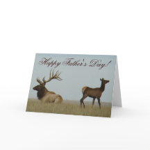 E5 Bull Elk e Yearling