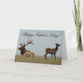 Cartão E5 Bull Elk e Yearling