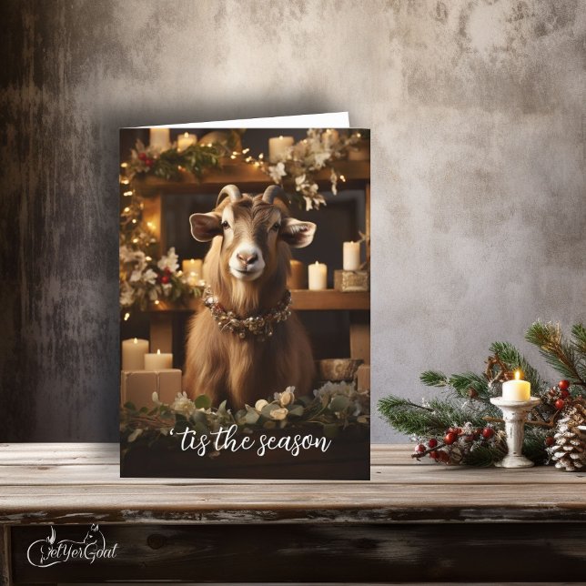 Cartão "É a temporada de Toggenburg Goat (If you love goats - this is a great  Holiday card to send - festive and frame worthy #zazzlemade )