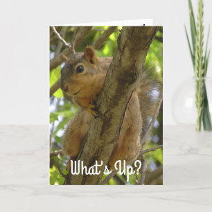 Cartão E aí, Ya Big Nut Engraçado Esquilo