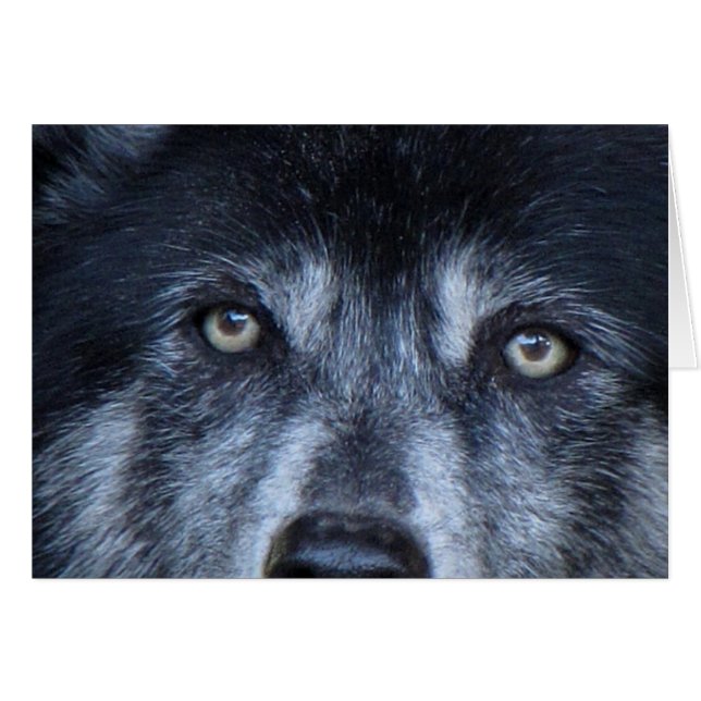 Cartão É Melhor Te Ver Com Meu Caro! (Frente Horizontal)