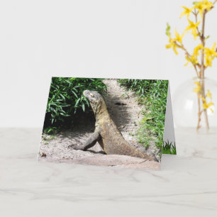 Cartão É o seu aniversário - Ande no lado selvagem Komodo