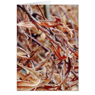 Cartão É outono, eu penso em você...