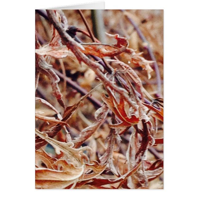 Cartão É outono, eu penso em você... (Frente)