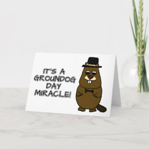 Cartão É um milagre do Dia da Marmota