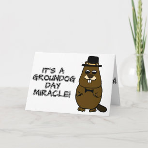 Cartão É um milagre do Dia da Marmota