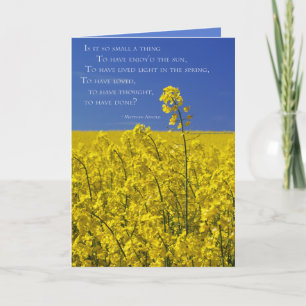 Cartão É uma coisa tão pequena?