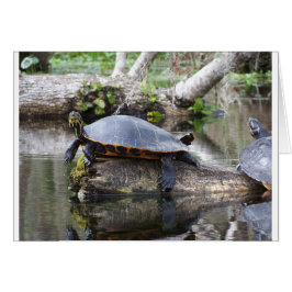 Cartão É uma vida de tartarugas