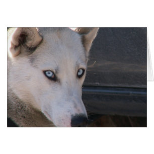 Cartão É você apronta-se