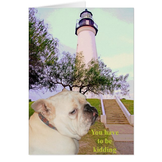 Cartão É você sério? (Frente)