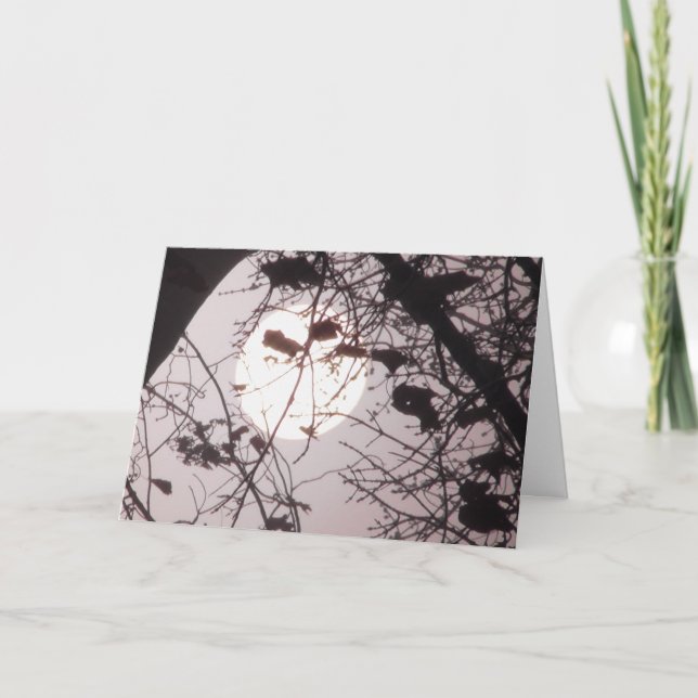 Cartão Each Time the Sun Rises We Get a New Start Quote (Frente)