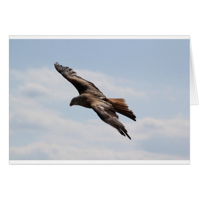 Cartão Eagle (Frente Horizontal)