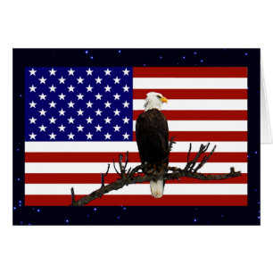 Cartão Eagle Bald Vigilância