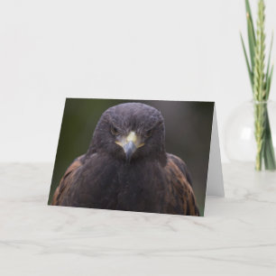 Cartão Eagle dourado