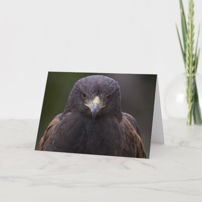 Cartão Eagle dourado (Frente)