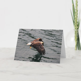 Cartão Eagle flying with wings out