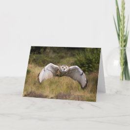 Cartão Eagle Owl "Coming at You"