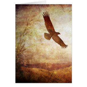 Cartão Eagle Soar