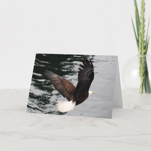 Cartão eagle soaring (Frente)