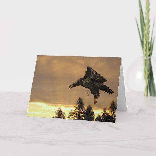 Cartão Eagle Sunrise Greeting Card (Frente)