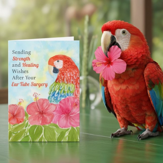 Cartão Ear Tube Surgery Healing Scarlet Macaws, Hibiscus (Criador carregado)