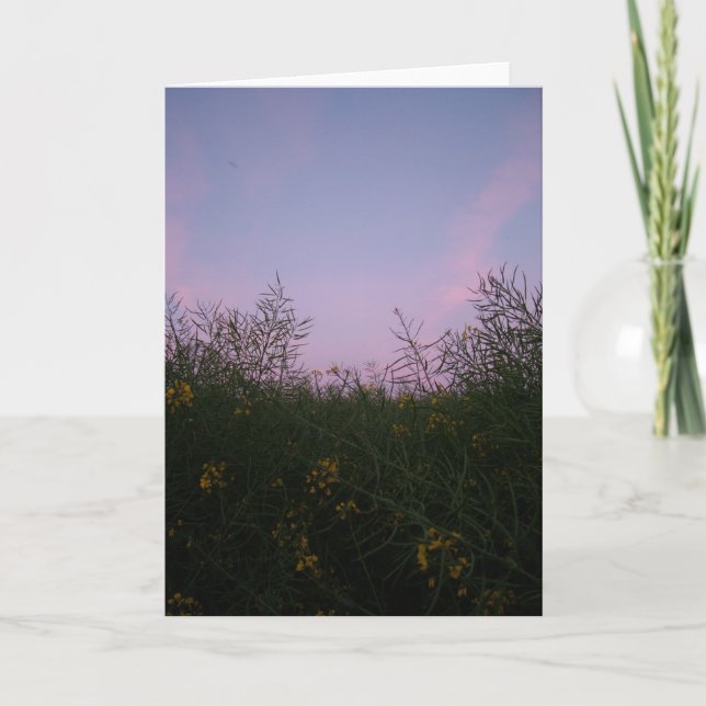 Cartão early evening amongst the foliage (Frente)