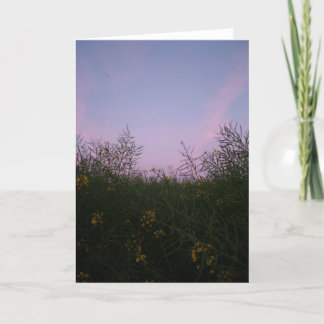 Cartão early evening amongst the foliage