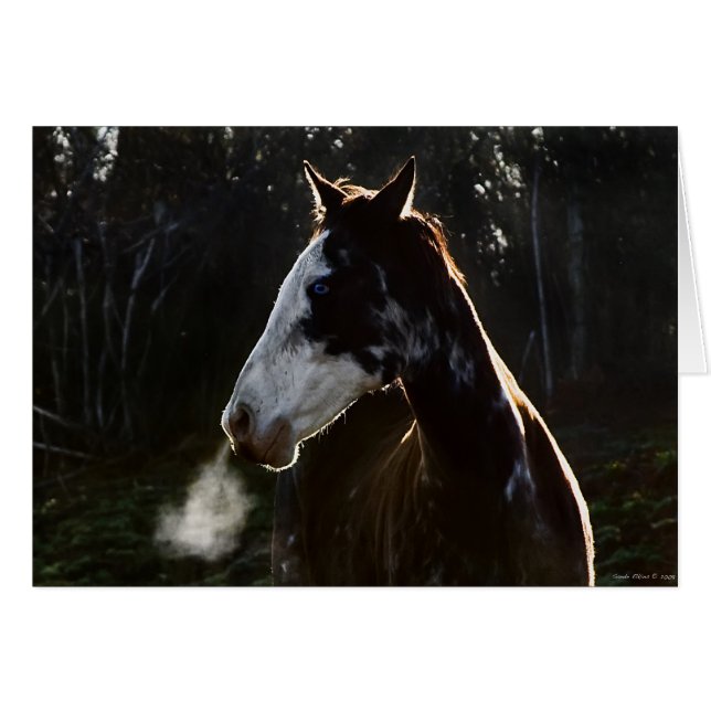 Cartão EarlyMornBlues (Frente Horizontal)