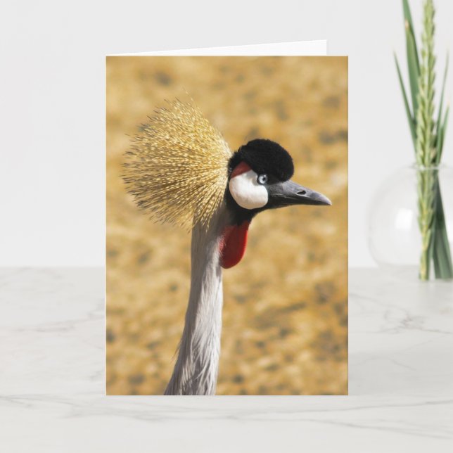 Cartão East African Crowned Crane Card (Frente)