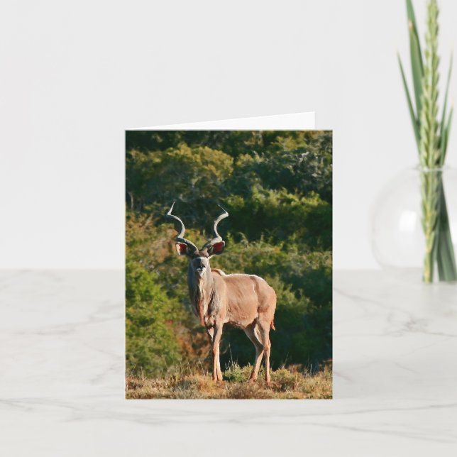 Cartão East Cape Kudu note card (Frente)