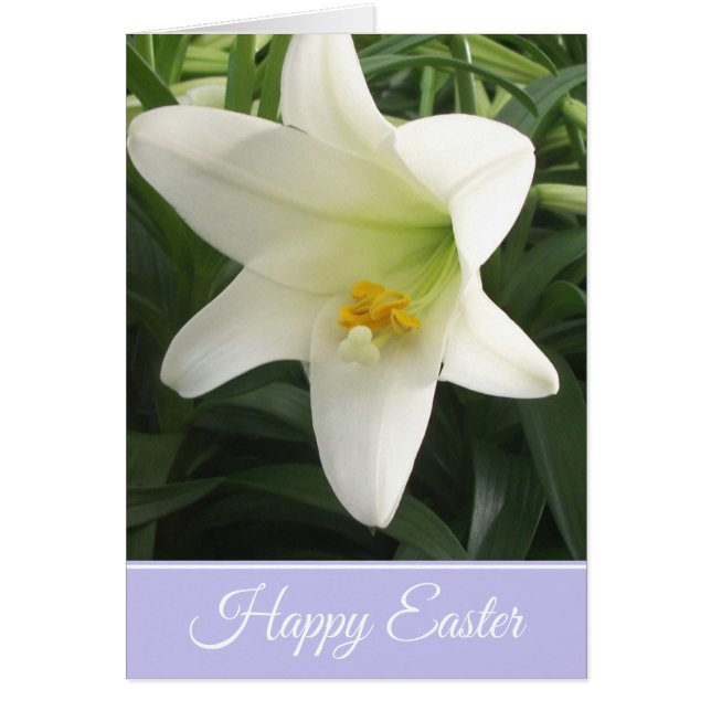 Cartão Easter Card Easter Lily (Frente)
