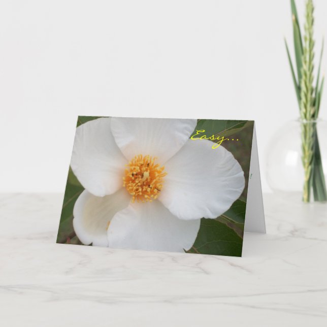 Cartão Easy Is (Frente)