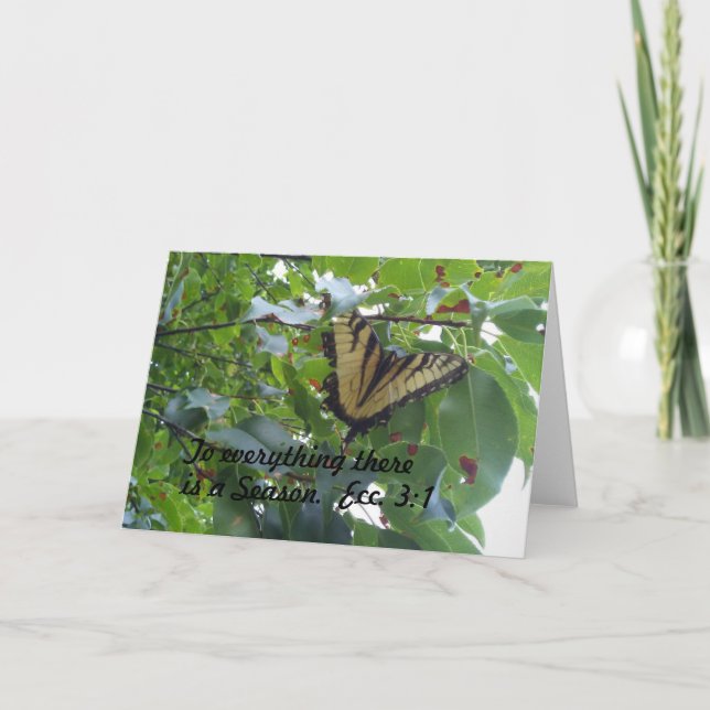 Cartão Ecclesiastes 3:1 To everything there is a season (Frente)