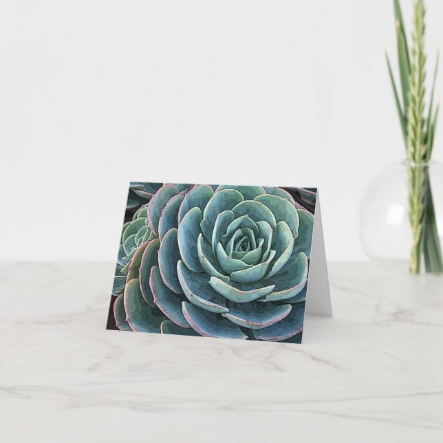 Cartão Echeveria notecard (Frente)