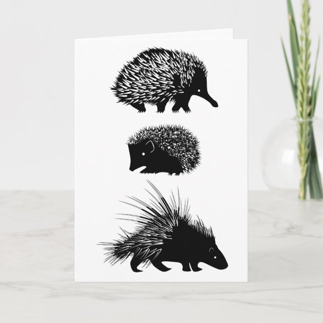 Cartão Echidna, hedgehog, porcupine greeting card (Frente)