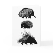 Echidna, hedgehog, porcupine greeting card