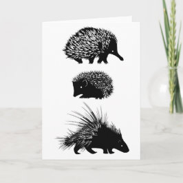 Cartão Echidna, hedgehog, porcupine greeting card